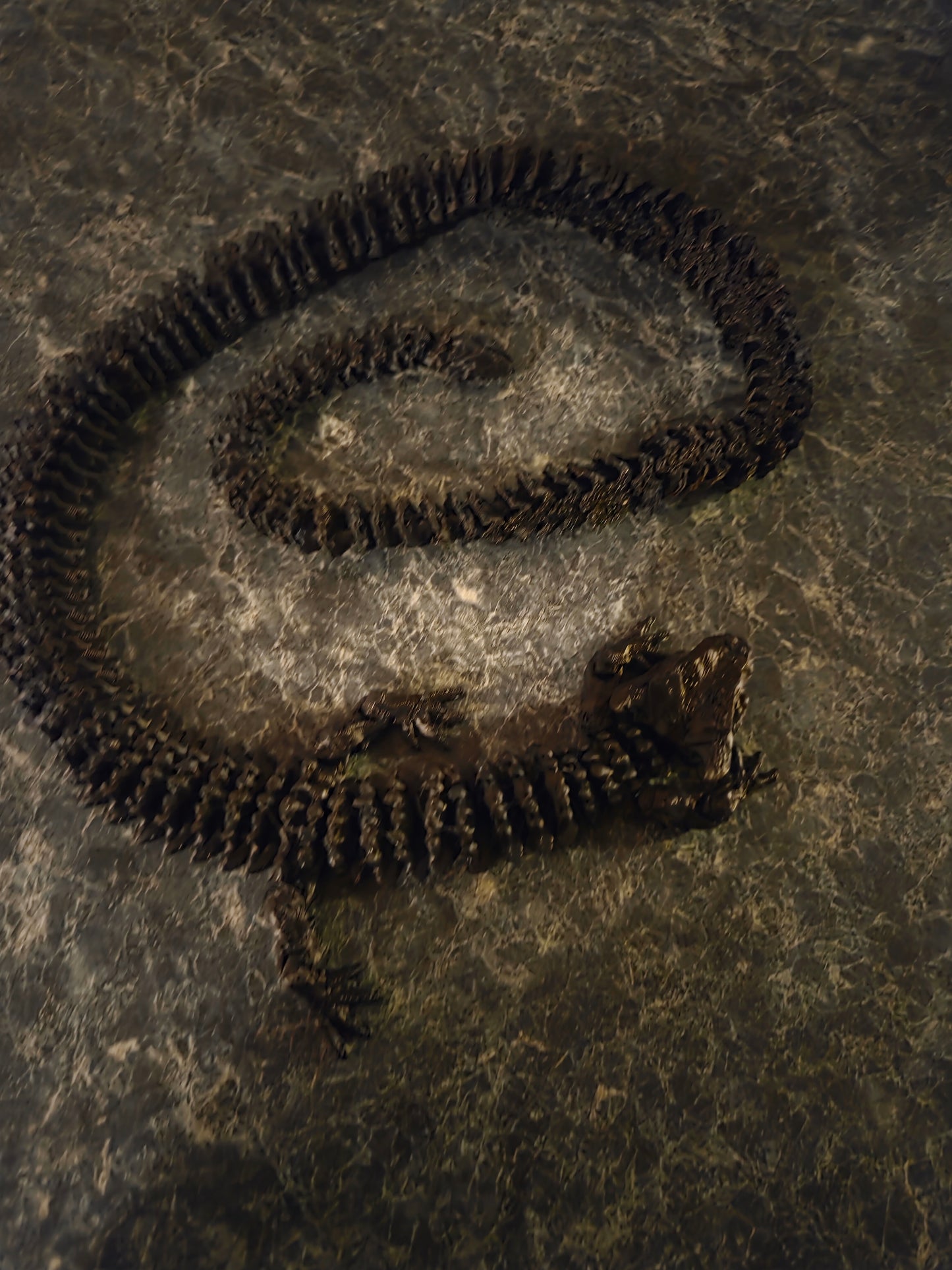3d dragon